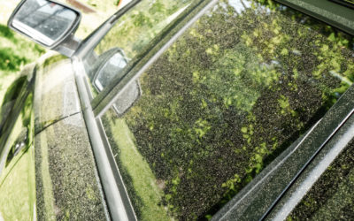 Tips For Keeping Your Car Pollen Free!